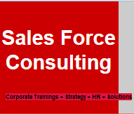 Sales Force Consulting